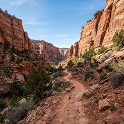 The Barracks Trail