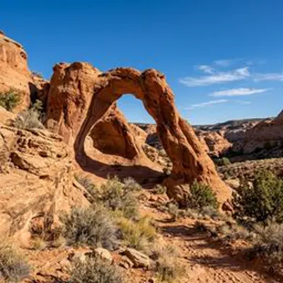 Elephant Cove