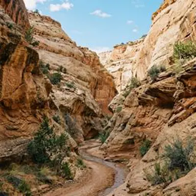 South Fork Indian Canyon